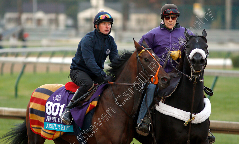 Arthur-Kitt-0001 
 ARTHUR KITT exercising ahead of The Breeders' Cup Juvenile Turf
Churchill Downs USA 30 Oct 2018 - Pic Steven Cargill / Racingfotos.com