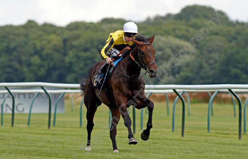 Aristobulus-0006 
 ARISTOBULUS (Daniel Muscutt) wins The Moorgate Training Nursery Handicap
Nottingham 10 Aug 2021 - Pic Steven Cargill / Racingfotos.com