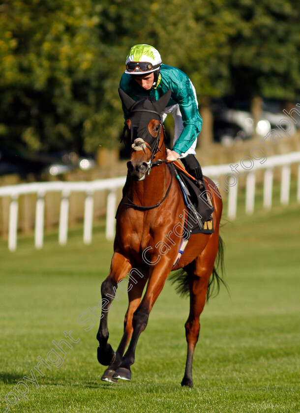 Skibo-0002 
 SKIBO (Rossa Ryan)
Newmarket 9 Aug 2024 - Pic Steven Cargill / Racingfotos.com