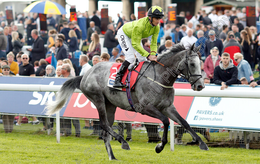 Buzz-0002 
 BUZZ (Daniel Tudhope)
York 15 Jun 2019 - Pic Steven Cargill / Racingfotos.com