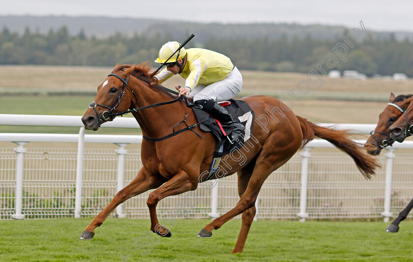 Choisya-0002 
 CHOISYA (Jack Mitchell) wins The Coral Fillies Handicap
Goodwood 1 Aug 2023 - Pic Steven Cargill / Racingfotos.com