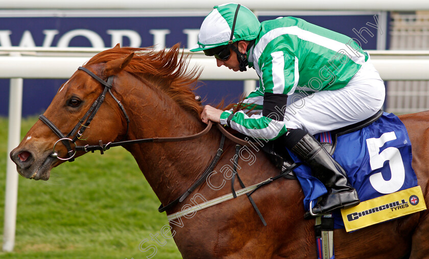 Mr-Lupton-0007 
 MR LUPTON (Paul Hanagan) wins The Churchill Tyres Handicap
York 12 May 2021 - Pic Steven Cargill / Racingfotos.com