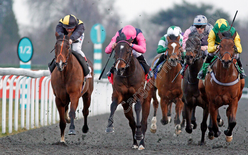 Kingstom-Kurrajong-0004 
 KINGSTON KURRAJONG (centre, Martin Harley) beats BALTIC PRINCE (right) and LUNAR DEITY (left) in The Matchbook Betting Exchange Handicap Kempton 21 Mar 2018 - Pic Steven Cargill / Racingfotos.com