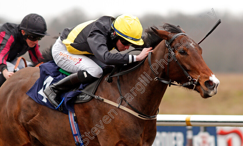 Diligent-Lady-0004 
 DILIGENT LADY (Rossa Ryan) wins The Betway Handicap
Lingfield 6 Feb 2021 - Pic Steven Cargill / Racingfotos.com