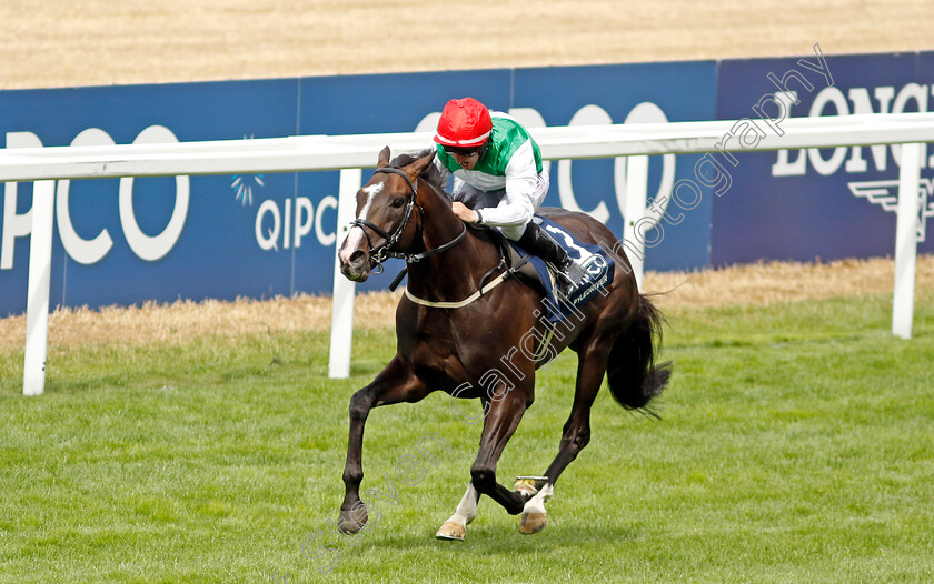 Pyledriver-0009 
 PYLEDRIVER (P J McDonald) wins The King George VI & Queen Elizabeth Qipco Stakes
Ascot 23 Jul 2022 - Pic Steven Cargill / Racingfotos.com