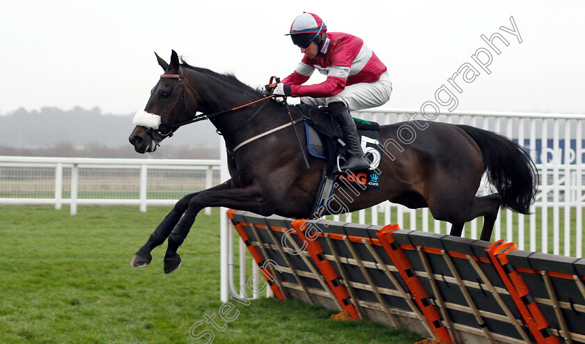 Petticoat-Tails-0001 
 PETTICOAT TAILS (Gavin Sheehan)
Ascot 19 Jan 2019 - Pic Steven Cargill / Racingfotos.com