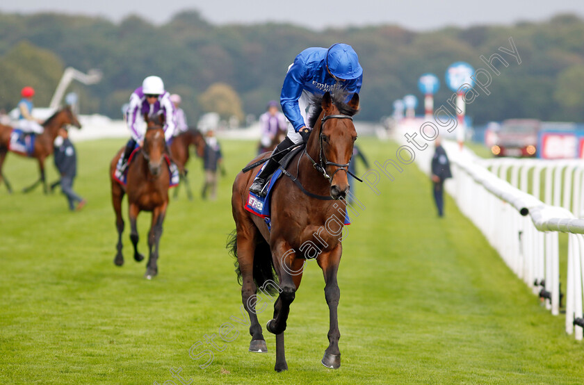 Chesspiece-0003 
 CHESSPIECE (James Doyle)
Doncaster 16 Sep 2023 - Pic Steven Cargill / Racingfotos.com