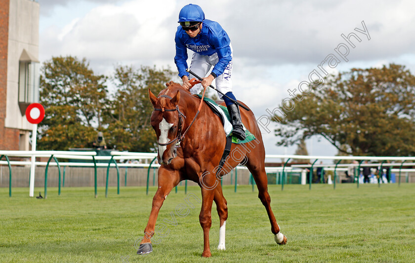 Earthlight-0015 
 EARTHLIGHT (Mickael Barzalona) before The Juddmonte Middle Park Stakes
Newmarket 28 Sep 2019 - Pic Steven Cargill / Racingfotos.com