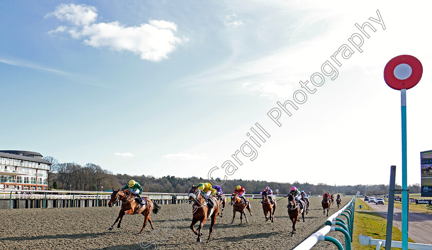 Master-Burbidge-0002 
 MASTER BURBIDGE (Jamie Spencer) wins The Betway Stayers Handicap Lingfield 16 Feb 2018 - Pic Steven Cargill / Racingfotos.com