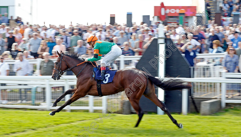 Lord-Of-Biscay-0003 
 LORD OF BISCAY (Andrea Atzeni) wins The EBF Future Stayers Maiden Stakes
Yarmouth 14 Sep 2022 - Pic Steven Cargill / Racingfotos.com