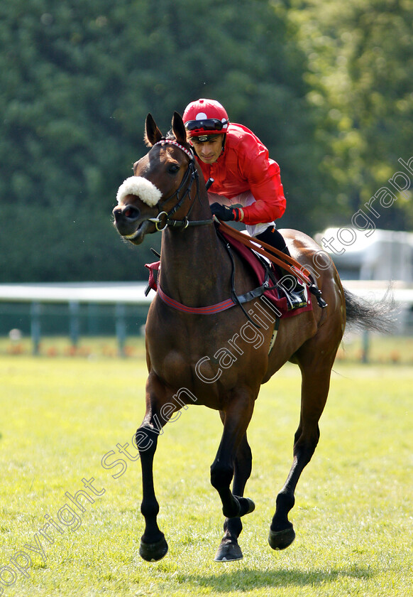 Mabs-Cross-0001 
 MABS CROSS (Paul Mulrennan)
Haydock 26 May 2018 - Pic Steven Cargill / Racingfotos.com