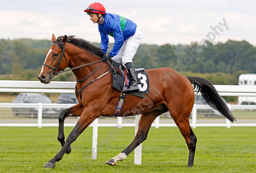 Wells-Farhh-Go-0002 
 WELLS FARHH GO (Daivd Allan)
Ascot 5 Oct 2019 - Pic Steven Cargill / Racingfotos.com