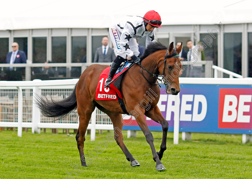 Whiskey-Glasses-0001 
 WHISKEY GLASSES (Nicola Currie)
Epsom 31 May 2024 - Pic Steven Cargill / Racingfotos.com