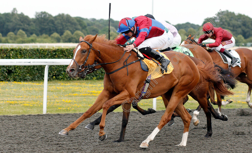 Hot-Touch-0006 
 HOT TOUCH (Jack Mitchell) wins The 32Red British Stallion Studs EBF Fillies Novice Stakes
Kempton 10 Jul 2019 - Pic Steven Cargill / Racingfotos.com