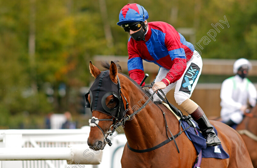 Power-Of-States-0001 
 POWER OF STATES (Stevie Donohoe)
Lingfield 7 Sep 2020 - Pic Steven Cargill / Racingfotos.com