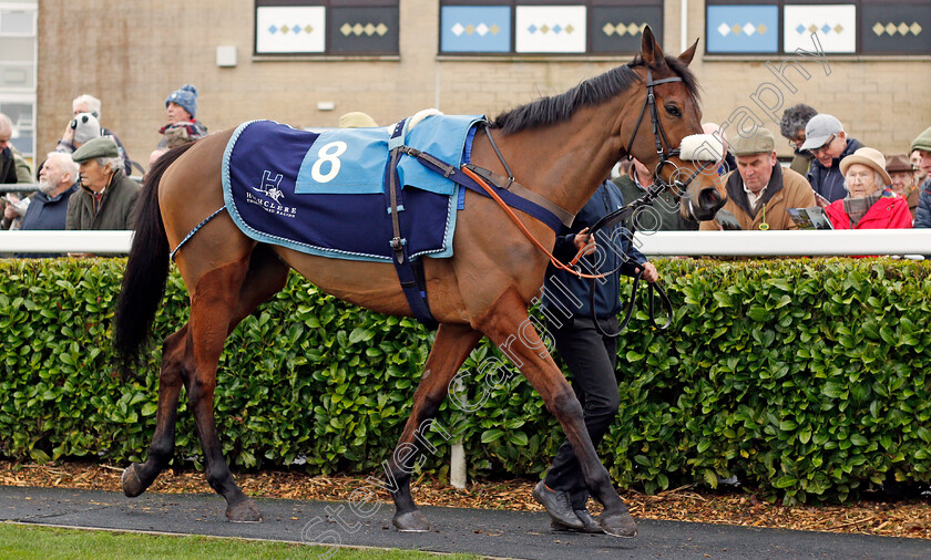 Danse-Idol-0001 
 DANSE IDOL 
Wincanton 30 Jan 2020 - Pic Steven Cargill / Racingfotos.com