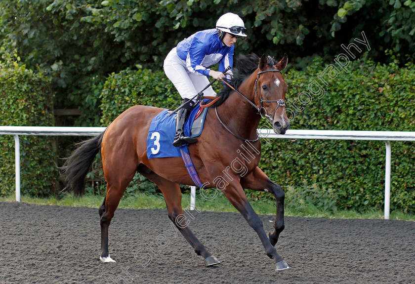 Game-Nation-0001 
 GAME NATION (Saffie Osborne)
Kempton 3 Sep 2021 - Pic Steven Cargill / Racingfotos.com