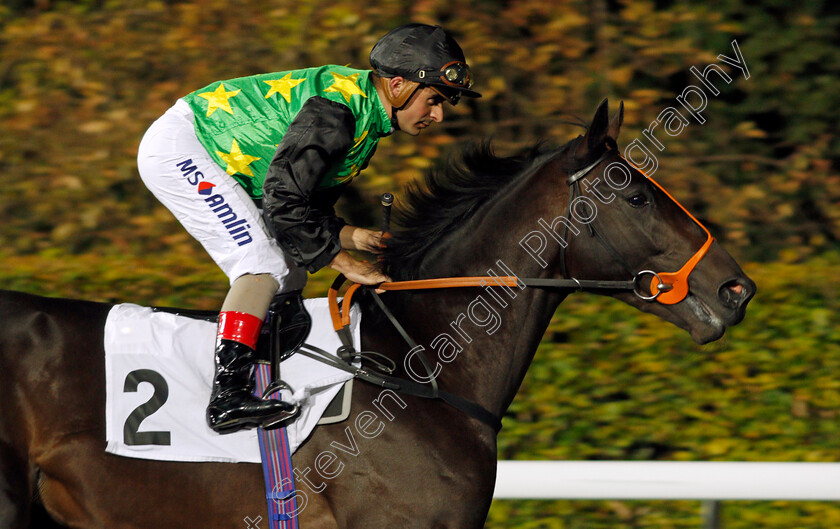 Accessor-0001 
 ACCESSOR (Andrea Atzeni) Kempton 4 Oct 2017 - Pic Steven Cargill / Racingfotos.com