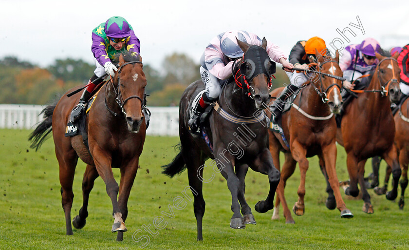 Erissimus-Maximus-0003 
 ERISSIMUS MAXIMUS (centre, Lewis Edmunds) beats EVERGATE (left) in The Mcgee Lighthouse Club Handicap Ascot 7 Oct 2017 - Pic Steven Cargill / Racingfotos.com