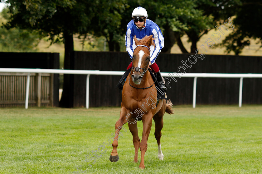 Leuven-Power-0002 
 LEUVEN POWER (Jefferson Smith)
Newmarket 30th July 2022 - Pic Steven Cargill / Racingfotos.com