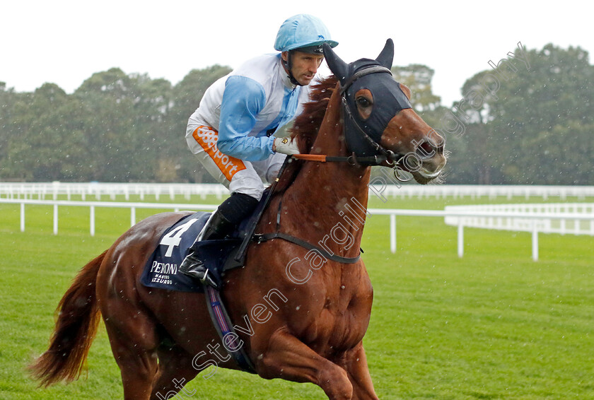 Giavellotto-0001 
 GIAVELLOTTO (Neil Callan)
Ascot 30 Sep 2022 - Pic Steven Cargill / Racingfotos.com