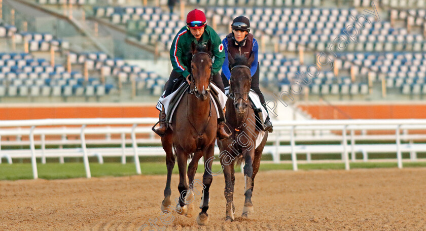 Fall-In-Love-and-Rise-And-Shine-0001 
 FALL IN LOVE leading RISE AND SHINE (right) training at Meydan, Dubai
2 Feb 2023 - Pic Steven Cargill / Racingfotos.com