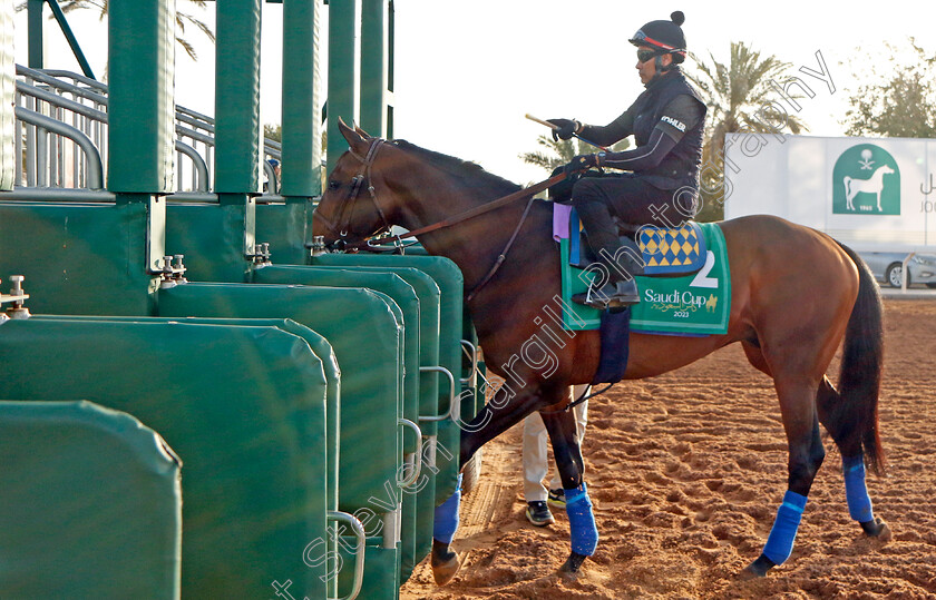 Country-Grammer-0004 
 COUNTRY GRAMMER training for the Saudi Cup
King Abdulaziz Racecourse, Kingdom Of Saudi Arabia, 23 Feb 2023 - Pic Steven Cargill / Racingfotos.com