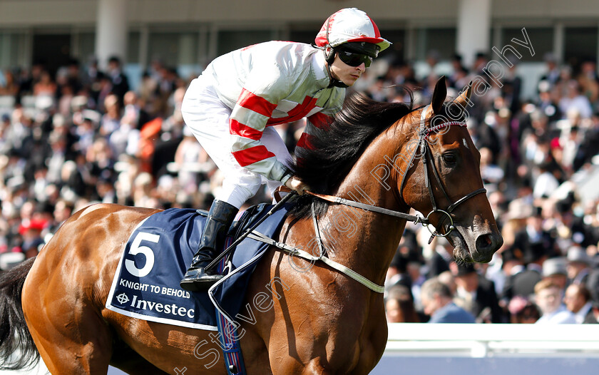 Knight-To-Behold-0002 
 KNIGHT TO BEHOLD (Richard Kingscote)
Epsom 2 Jun 2018 - Pic Steven Cargill / Racingfotos.com