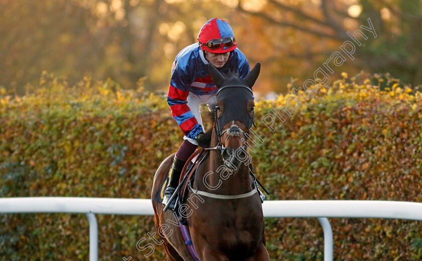 Master-Toney-0001 
 MASTER TONEY (Rob Hornby)
Kempton 15 Nov 2023 - Pic Steven Cargill / Racingfotos.com