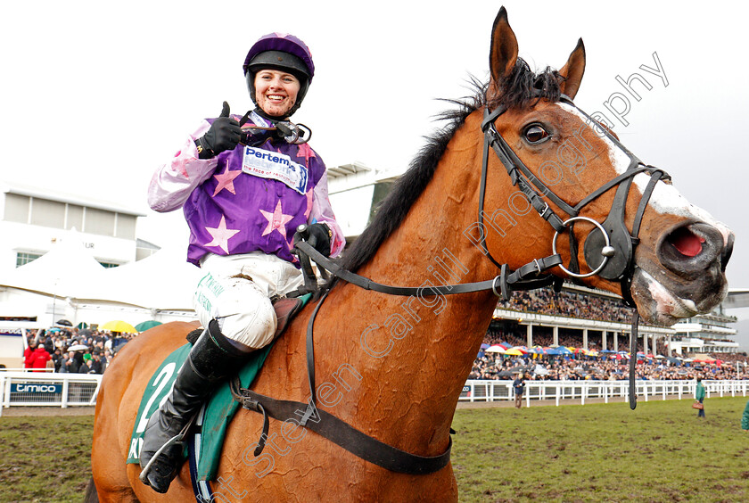 Mohaayed-0009 
 MOHAAYED (Bridget Andrews) after The Randox Health County Hurdle Cheltenham 16 mar 2018 - Pic Steven Cargill / Racingfotos.com