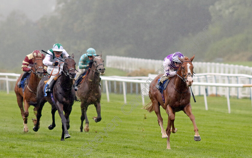 Starzintheireyes-0005 
 STARZINTHEIREYES (Rossa Ryan) wins The British Stallion Studs EBF Novice Stakes
Leicester 10 Sep 2024 - Pic Steven Cargill / Racingfotos.com