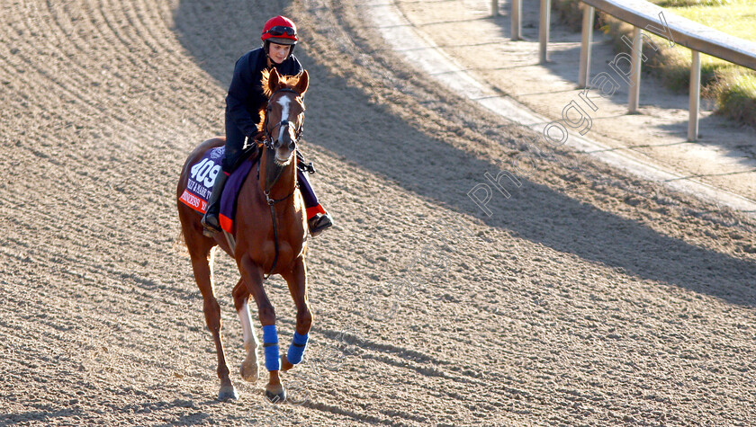 Princess-Yaiza-0002 
 PRINCESS YAIZA exercising ahead of the The Breeders' Cup Filly & Mare Turf
Churchill Downs USA 29 Oct 2018 - Pic Steven Cargill / Racingfotos.com