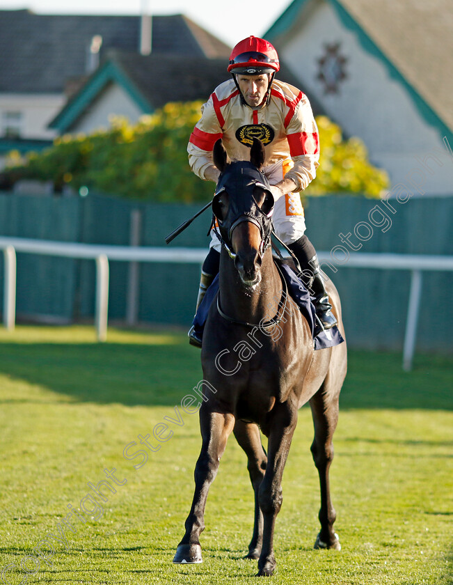 Professor-Pesca-0001 
 PROFESSOR PESCA (Neil Callan)
Yarmouth 18 Oct 2022 - Pic Steven Cargill / Racingfotos.com