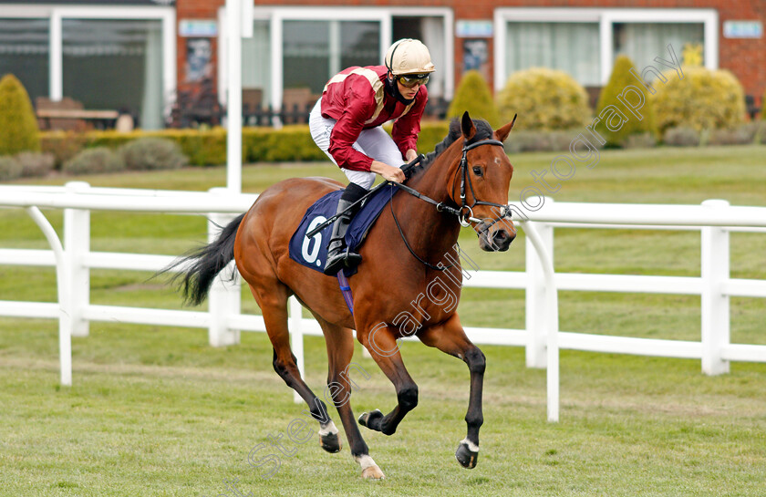 Persaria-0001 
 PERSARIA (George Wood)
Lingfield 8 May 2021 - Pic Steven Cargill / Racingfotos.com