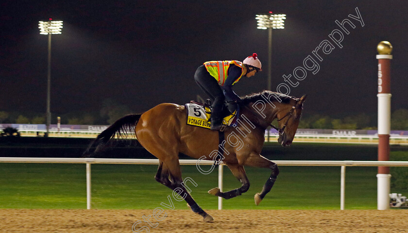 Voyage-Bubble-0001 
 VOYAGE BUBBLE training for The Dubai Turf
Meydan Dubai 26 Mar 2024 - Pic Steven Cargill / Racingfotos.com