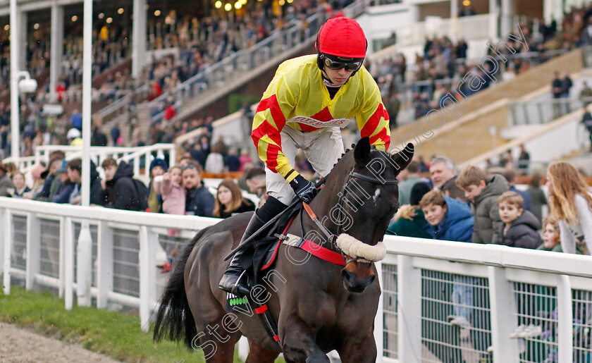 Black-Poppy0001 
 BLACK POPPY (Liam Harrison) 
Cheltenham 17 Nov 2024 - Pic Steven Cargill / Racingfotos.com