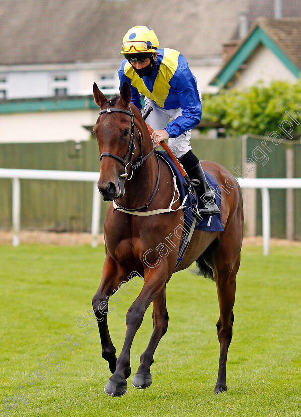 Run-This-Way-0001 
 RUN THIS WAY (Dane O'Neill)
Yarmouth 1 Jul 2021 - Pic Steven Cargill / Racingfotos.com