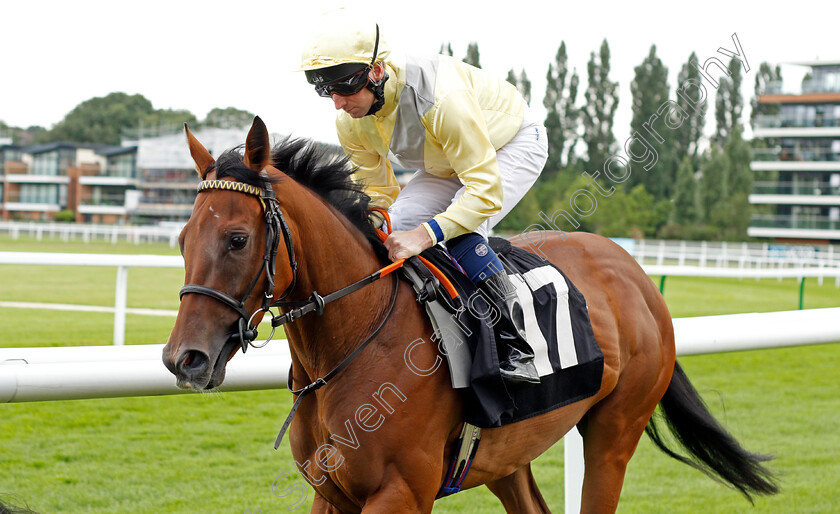 Romantic-Time-0001 
 ROMANTIC TIME (Martin Dwyer)
Newbury 13 Aug 2021 - Pic Steven Cargill / Racingfotos.com