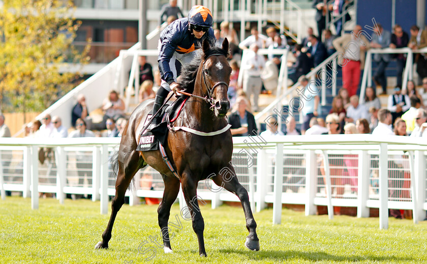 Hey-Gaman-0001 
 HEY GAMAN (P J McDonald)
Newbury 17 Aug 2019 - Pic Steven Cargill / Racingfotos.com