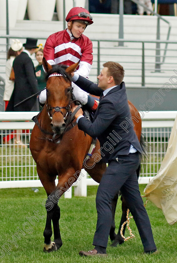 Missed-The-Cut-0005 
 MISSED THE CUT (James McDonald) after The Golden Gates Stakes
Royal Ascot 18 Jun 2022 - Pic Steven Cargill / Racingfotos.com