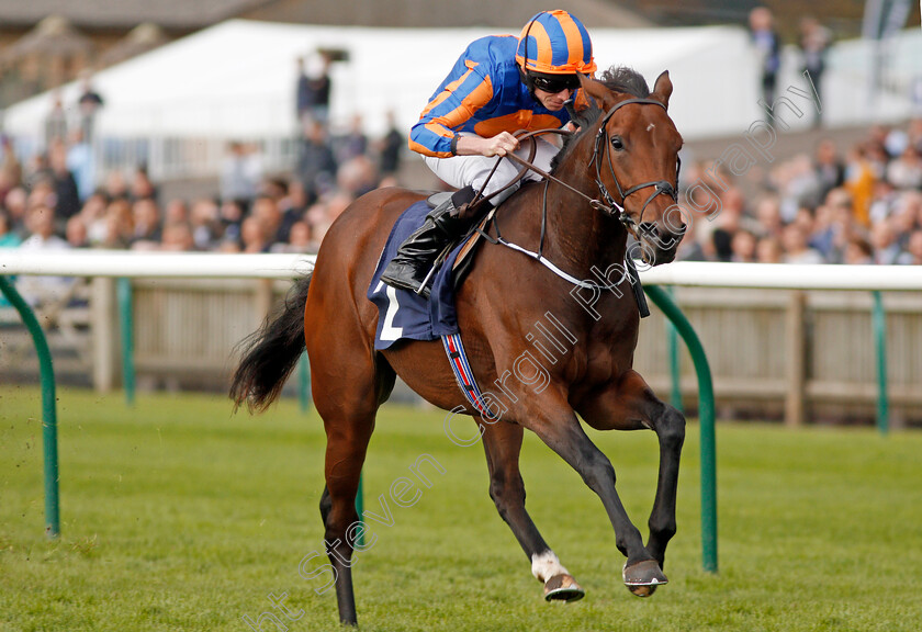 Bye-Bye-Baby-0007 
 BYE BYE BABY (Ryan Moore) wins The Blandford Bloodstock Maiden Fillies Stakes Newmarket 30 Sep 2017 - Pic Steven Cargill / Racingfotos.com