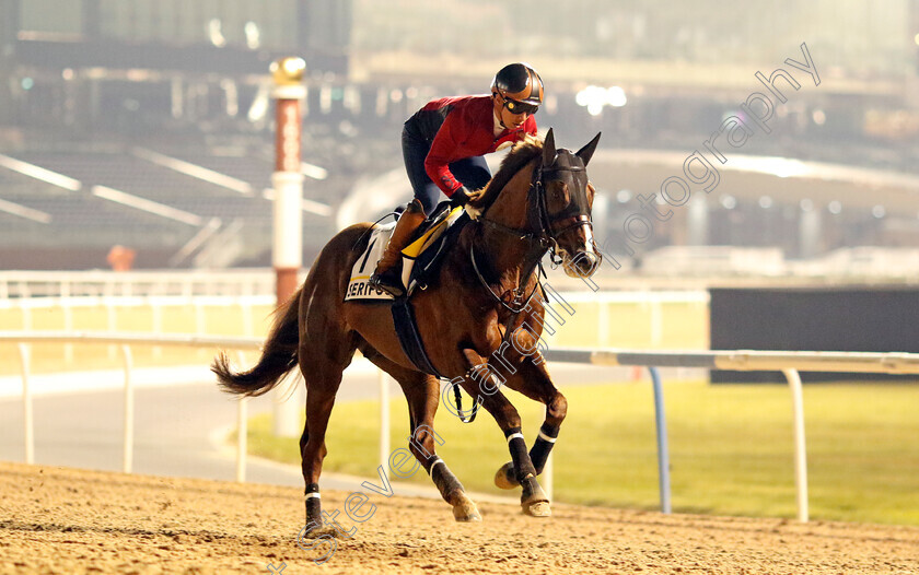 Serifos-0002 
 SERIFOS training for the Dubai Turf
Meydan, Dubai, 21 Mar 2023 - Pic Steven Cargill / Racingfotos.com