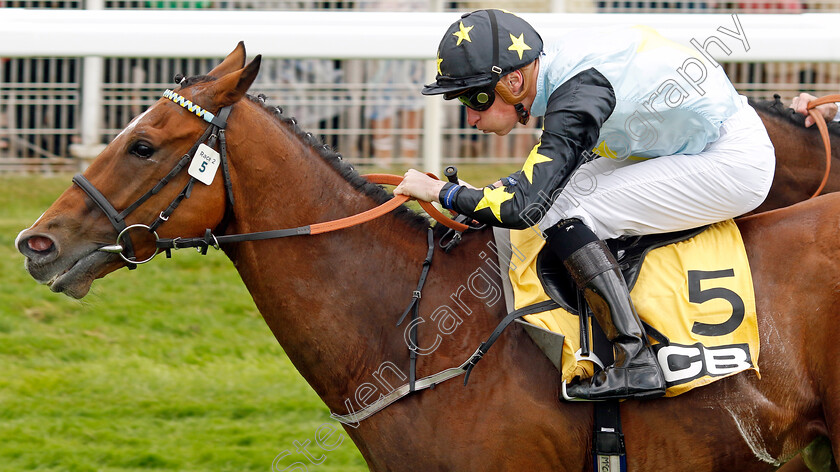 Lion-Tower-0004 
 LION TOWER (Sam James) wins The JCB Handicap
York 11 Jun 2022 - Pic Steven Cargill / Racingfotos.com