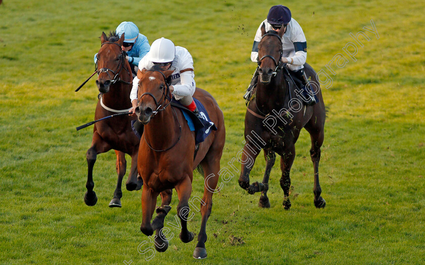 Equitation-0005 
 EQUITATION (Andrea Atzeni) beats FATHER MCKENZIE (left) in The Parkdean Resorts Creating Amazing Memories Handicap Yarmouth 20 Sep 2017 - Pic Steven Cargill / Racingfotos.com