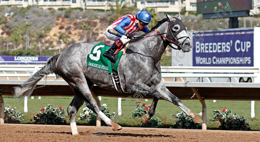 Americanize-0003 
 AMERICANIZE (Rafael Bejarano) wins The Damascus Stakes, Del Mar USA 3 Nov 2017 - Pic Steven Cargill / Racingfotos.com