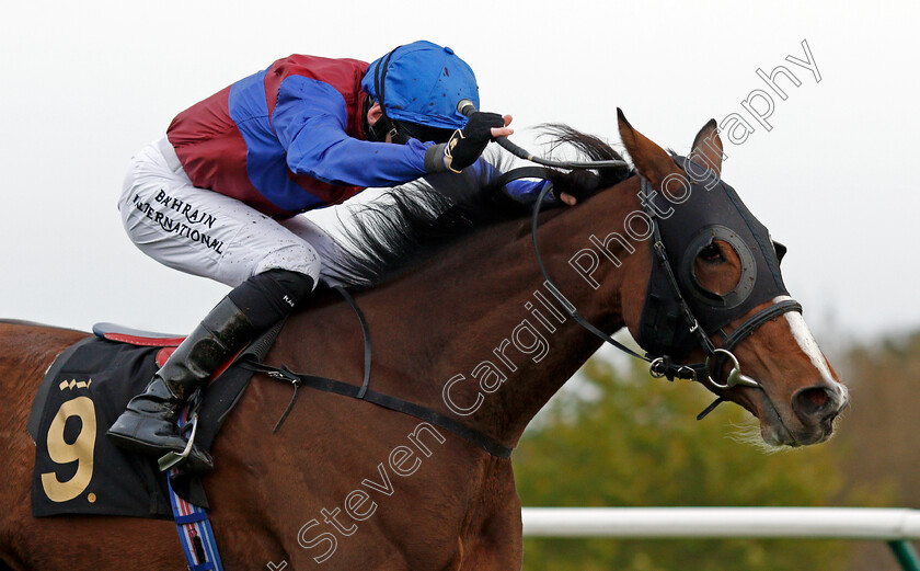 Tao-Te-Ching-0004 
 TAO TE CHING (Robert Havlin) wins The Mansionbet Best Odds Guaranteed Novice Stakes
Nottingham 28 Oct 2020 - Pic Steven Cargill / Racingfotos.com