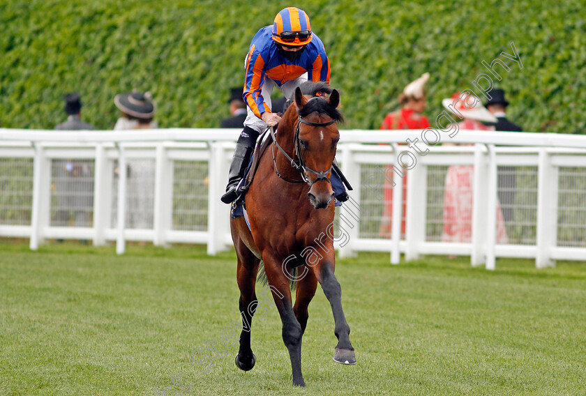 Roman-Empire-0001 
 ROMAN EMPIRE (Ryan Moore)
Ascot 17 Jun 2021 - Pic Steven Cargill / Racingfotos.com