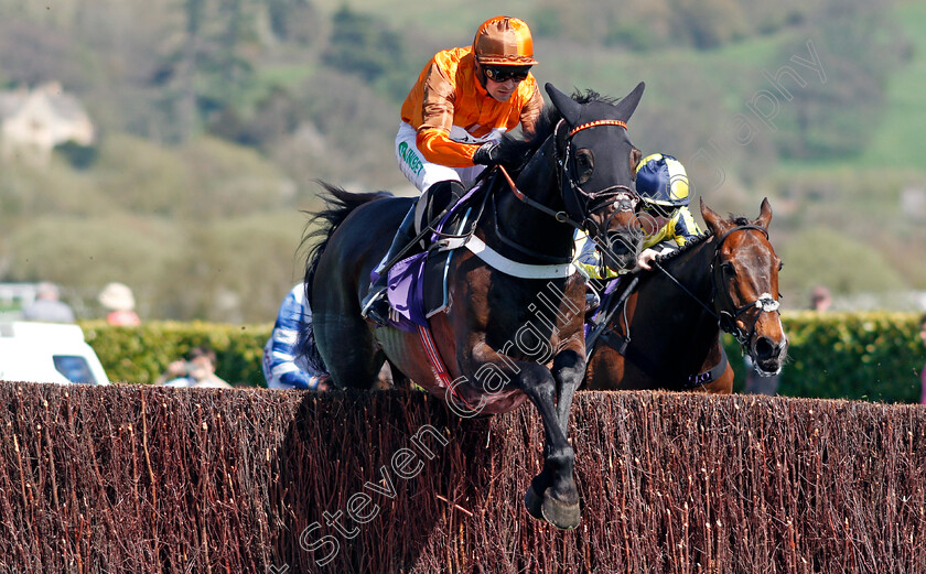 Days-Of-Heaven-0001 
 DAYS OF HEAVEN (Nico de Boinville) Cheltenham 18 Apr 2018 - Pic Steven Cargill / Racingfotos.com