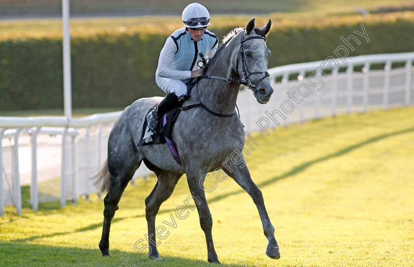 Misty-Dancer-0001 
 MISTY DANCER (Harry Burns) winner of The William Hill Pick Your Places Maiden Fillies Stakes
Goodwood 26 Aug 2022 - Pic Steven Cargill / Racingfotos.com