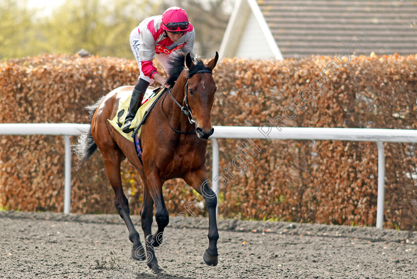 Ensued-0001 
 ENSUED (Ryan Moore)
Kempton 10 Apr 2023 - Pic Steven Cargill / Racingfotos.com